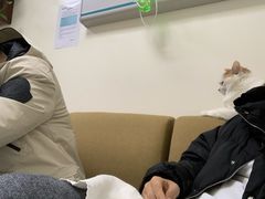 -美联众合动物医院·24h转诊中心