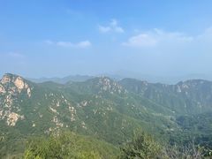 -大岭沟猕猴桃谷风景区