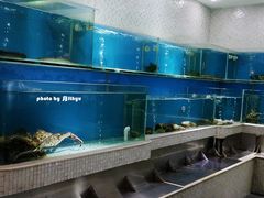 -潮福城大酒楼·潮味粤品·港式点心(湖滨北路店)