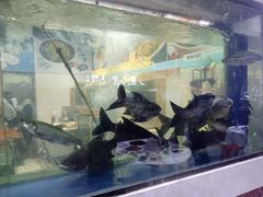 -大欢喜饭店(江怡路店)