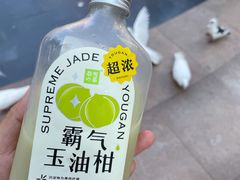 -奈雪的茶(中粮祥云小镇店)