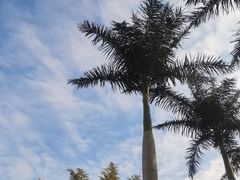 -西安国际创新人才交流中心•药浴温泉
