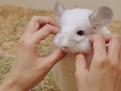 -龙猫仔乐园(惠福东路店)