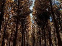 -捞渔河湿地公园