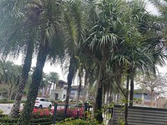 -石梅湾艾美度假酒店