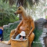 广州·越秀｜广州动物园🦍门票20元🦍