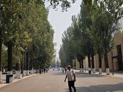 -哈尔滨文化公园