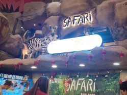 -卡通尼·Safari非洲探索乐园·生日会(金桥国际商业广场店)