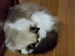 -寰映影城(大融城激光IMAX店)