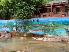 -广州白江湖森林公园