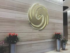 -凤凰中心