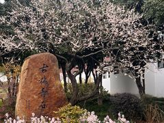 -无锡梅园公园