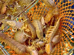 -阿马蛋汤·宁波小海鲜(总店)