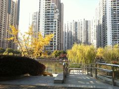 -苏州河梦清园环保主题公园