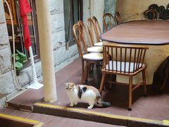 -猫岛主趣味餐厅(鼓浪屿店)