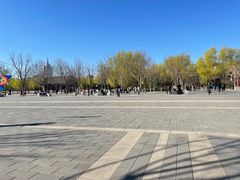-莲花池公园