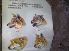 -天津自然博物馆