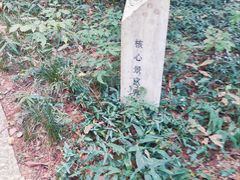-九曜山