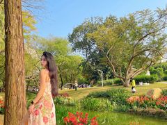 -人民公园(罗湖区)