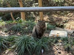 -灵顺寺