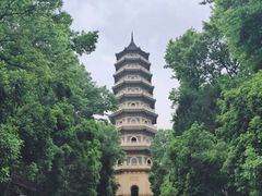 -灵谷景区
