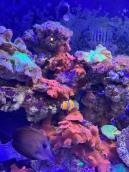 -Zoolung Zoolung动物主题公园(海信广场店)