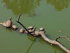 -农家小院土菜馆(斩坑桥店)