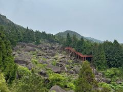-玉苍山国家森林公园