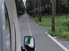 -东平国家森林公园