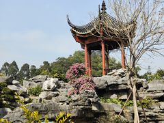 -顺峰山公园