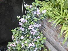 -肴约·花园式餐厅(湖里店)