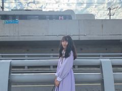 -海堤纪念公园