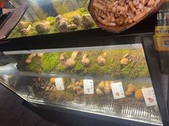 -滇野云南野生菌餐厅(陕西南路店)