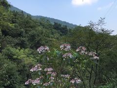 -华蓥山天意谷景区