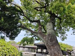 -口岸雕花楼