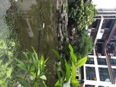 iphone_upload_pic-山色柴火烤披萨·原切牛扒