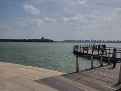 -金鸡湖景区