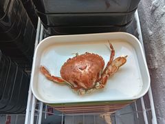 -1516串串香·自助火锅(新华大街店)