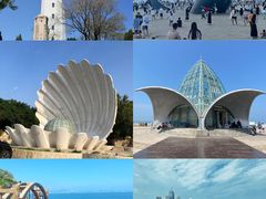 -东辰望海鱼码头·海鲜餐厅