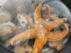 -前王院•巧克力海鲜市集餐厅(万平口店)