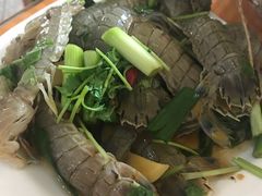-凤百年大骨鸡饭庄