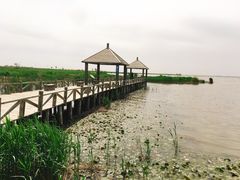 -哈素海