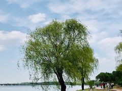 -丁香湖公园