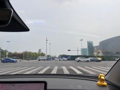 -苏州金鸡湖文博诺富特酒店