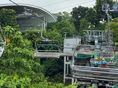 -圣淘沙天际线斜坡滑车