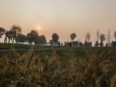 -汉长安城未央宫国家考古遗址公园