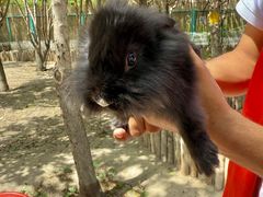 -水上乐园·欢乐世界