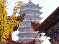 -皇罗禅寺