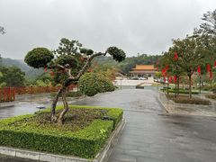 -南宁良凤江国家森林公园