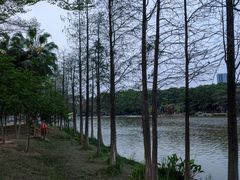 -东莞植物园
